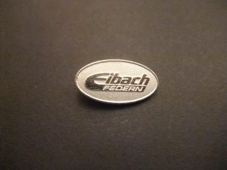 Eibach Federn Duitsland fabriek van hightechonderdelen, voor de auto
